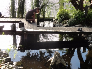 Gartengestaltung Helmut Lamprecht.