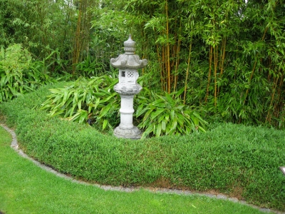 Niedriger, Ausläufertreibender Bambus, mit scharfem Schnitt in Form gehalten. Steinlampe Japanisch