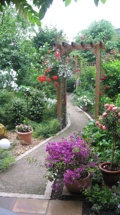 Ein kleiner, schmaler Reihenhaus-Garten, der ohne Rasen, nur mit Pflanzen gestaltet ist.  Torbogen und geschwungener Weg teilen den Garten ein.